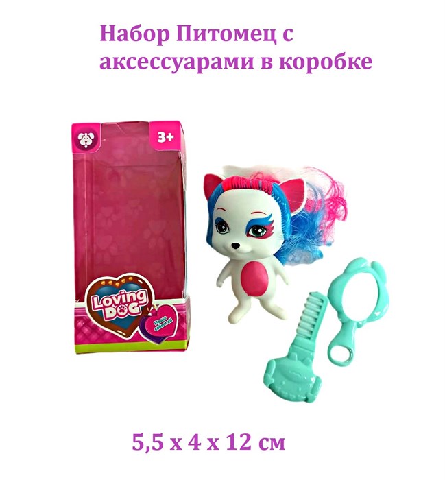 Набор Питомец с аксессуарами в коробке 5,5 х 4 х 12 см  SM348A28 SM348A28 - фото 20175
