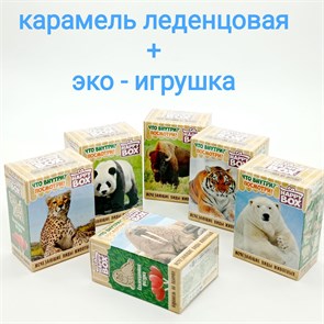 HAPPY BOX Исчезающие виды животных фигурка + карамель в коробочке (НВ-12-2) 1 кор х 4 бл х 10 шт НВ-12-2