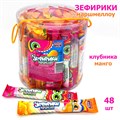 Маршмеллоу Зефирики ассорти (Канди Клаб) (ZEF034-1) 5 гр*12 банок*48 шт ZEF034-1 - фото 15708