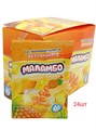 Растворимый напиток МАЛАМБО Ананас (DJ-013) 9 гр*24 бл*24 шт DJ-013 - фото 19522