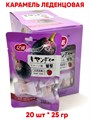 Карамель леденцовая Yinuo со вкусом Винограда (1171) 25 гр*1 кор х 12 бл х 20 шт 1171 - фото 20679